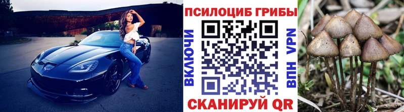 Псилоцибиновые грибы мицелий  площадка официальный сайт  Старый Крым 